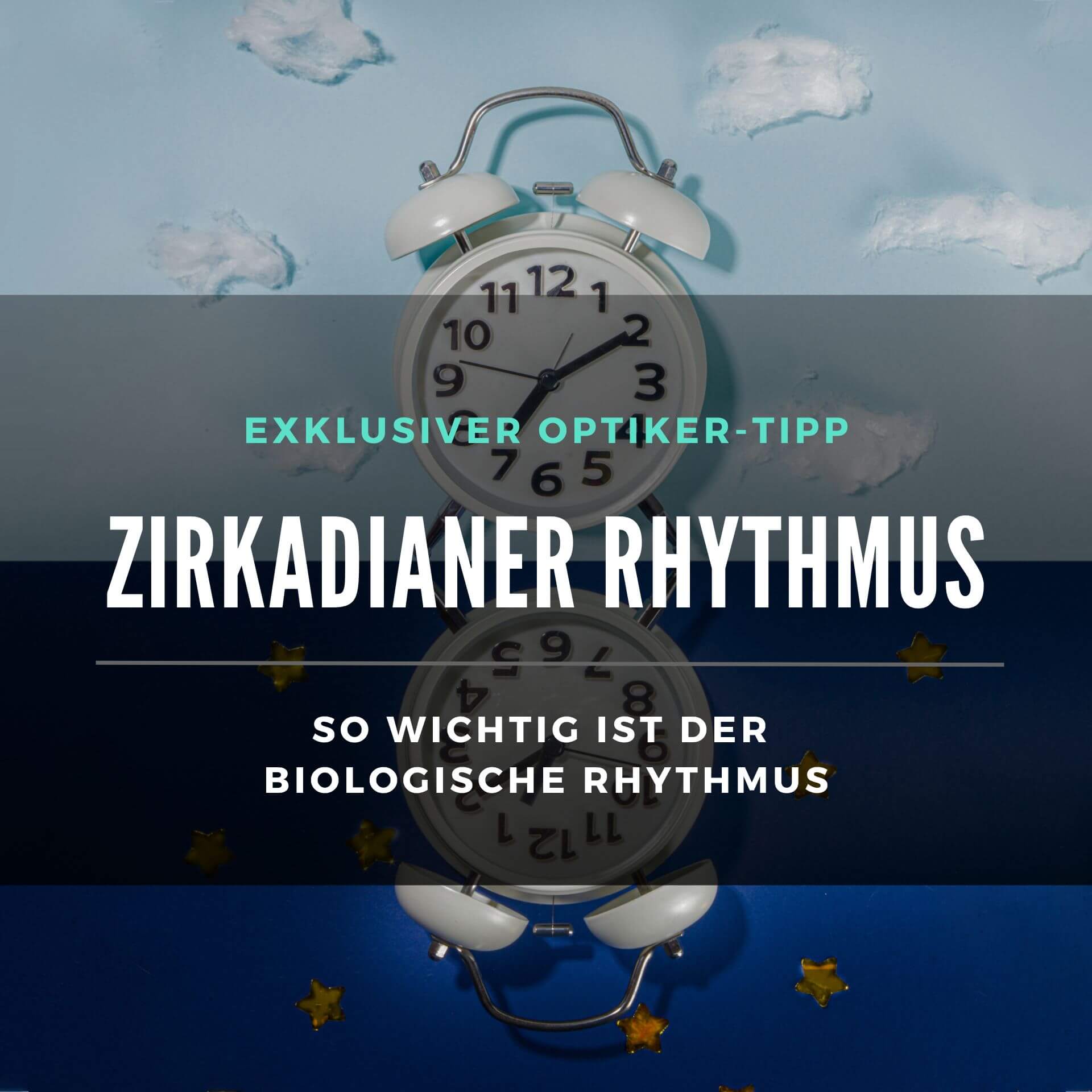 zirkadianer-rhythmus